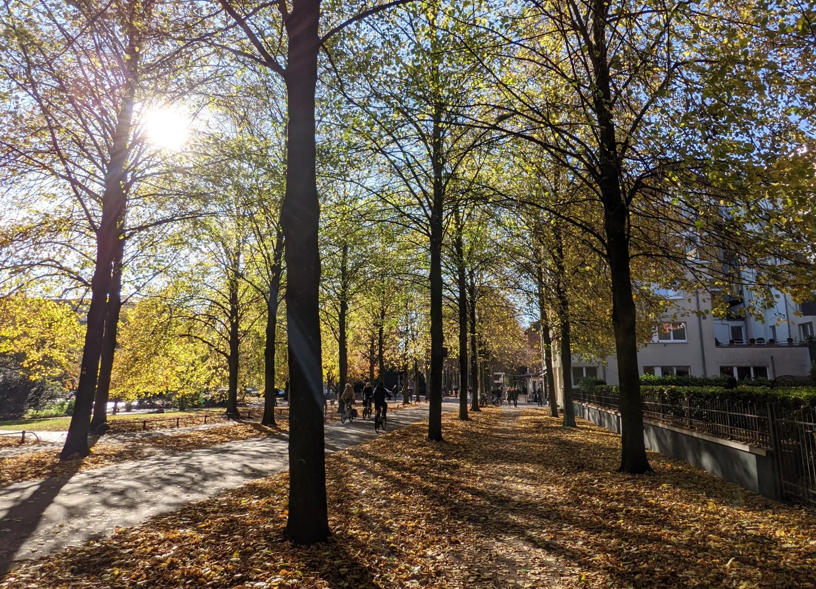The Promenade green ring around Münster